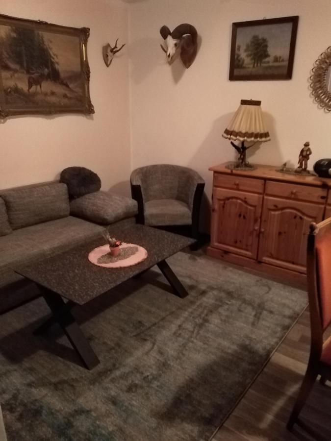 Ferienhaus Schulenberg Villa Friedrichsbrunn Luaran gambar