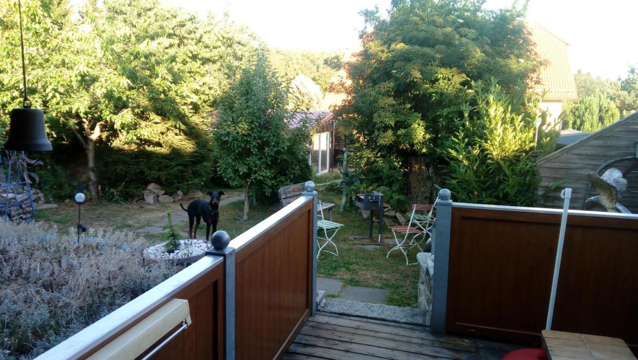Ferienhaus Schulenberg Villa Friedrichsbrunn Luaran gambar