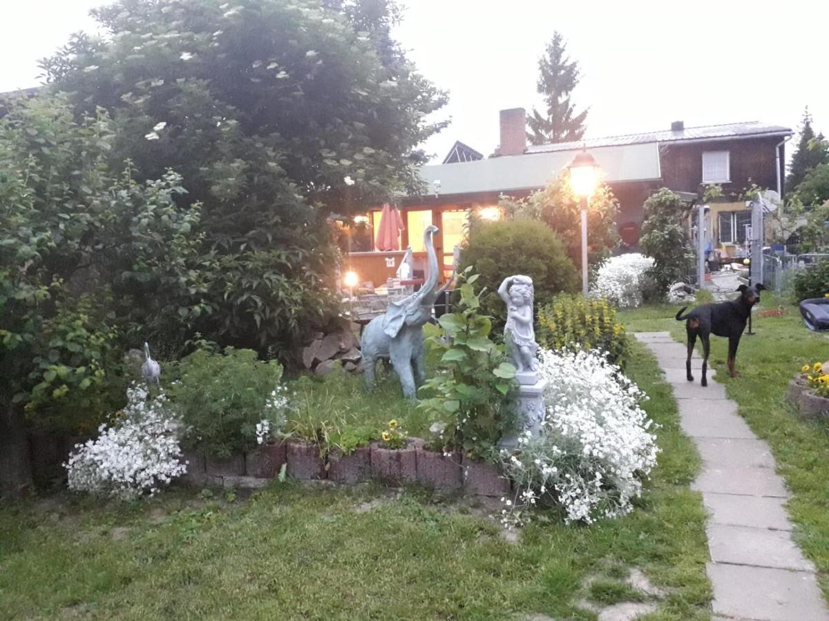 Ferienhaus Schulenberg Villa Friedrichsbrunn Luaran gambar